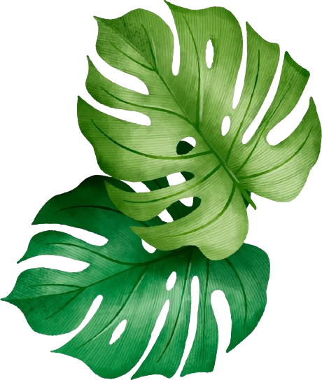 Floating leaf decoration